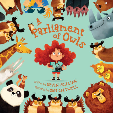 A Parliament of Owls picture book